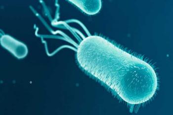 Супербактерия E.coli Супербактерия E.coli