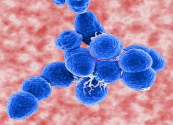 бактерии Streptococcus Pneumoniae