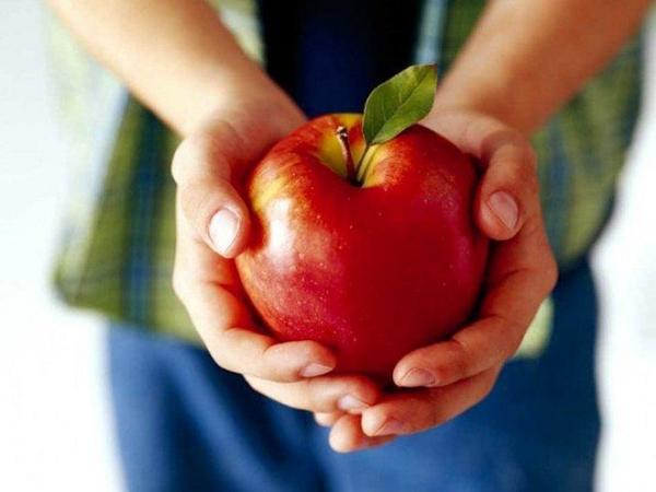 Почему необходимо есть яблоки Почему необходимо есть яблоки
