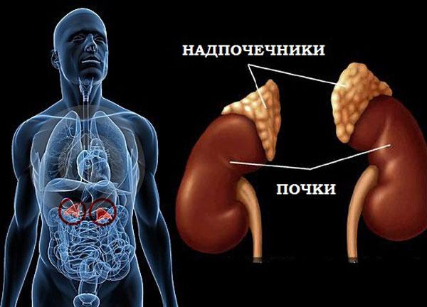 Адреналэктомия: операция по удалению надпочечников