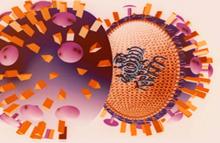 Подавление клеточных ферментов, связанных с процессом вирусной репликации