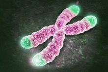 Теломеры фото bioviva-science.com Теломеры фото bioviva-science.com