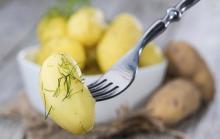 Картофель это вкусно и быстро..но немного вредно Картофель это вкусно и быстро..но немного вредно