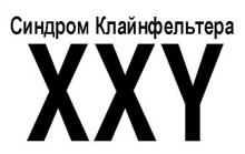 Синдром Клайнфелтера, хромосомы Синдром Клайнфелтера, хромосомы