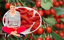 Ягоды годжи для похудения Как принимать ягоды годжи