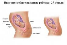 27 неделя беременности 27 неделя беременности: что происходит, полезные советы