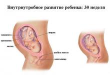 30 неделя беременности 30 неделя беременности: что происходит, полезные советы