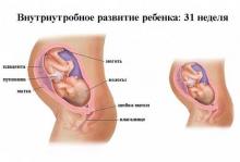 31 неделя беременности: что происходит, полезные советы