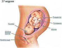 37 неделя беременности: что происходит, полезные советы
