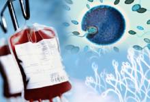 сперма с кровью - причины и последствия, чем лечить
