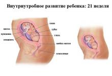 21 неделя беременности: что происходит, полезные советы