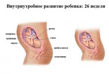 26 неделя беременности: что происходит, полезные советы