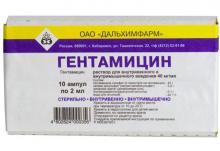 Гентамицин для инъекций: использование Гентамицин для инъекций: инструкция по применению